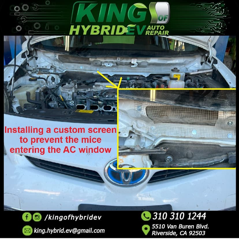 Mice Issues in Cars: A Common and Expensive Problem